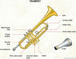 Trumpet Lessons for Beginners